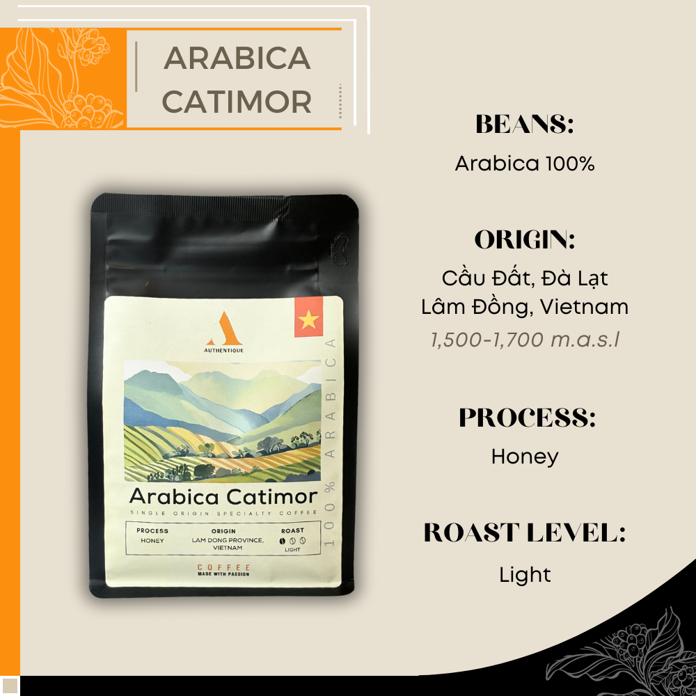 Authentique Speciality Arabica Catimor (Light Roast) (Vietnam Origin) Coffee Beans 250g