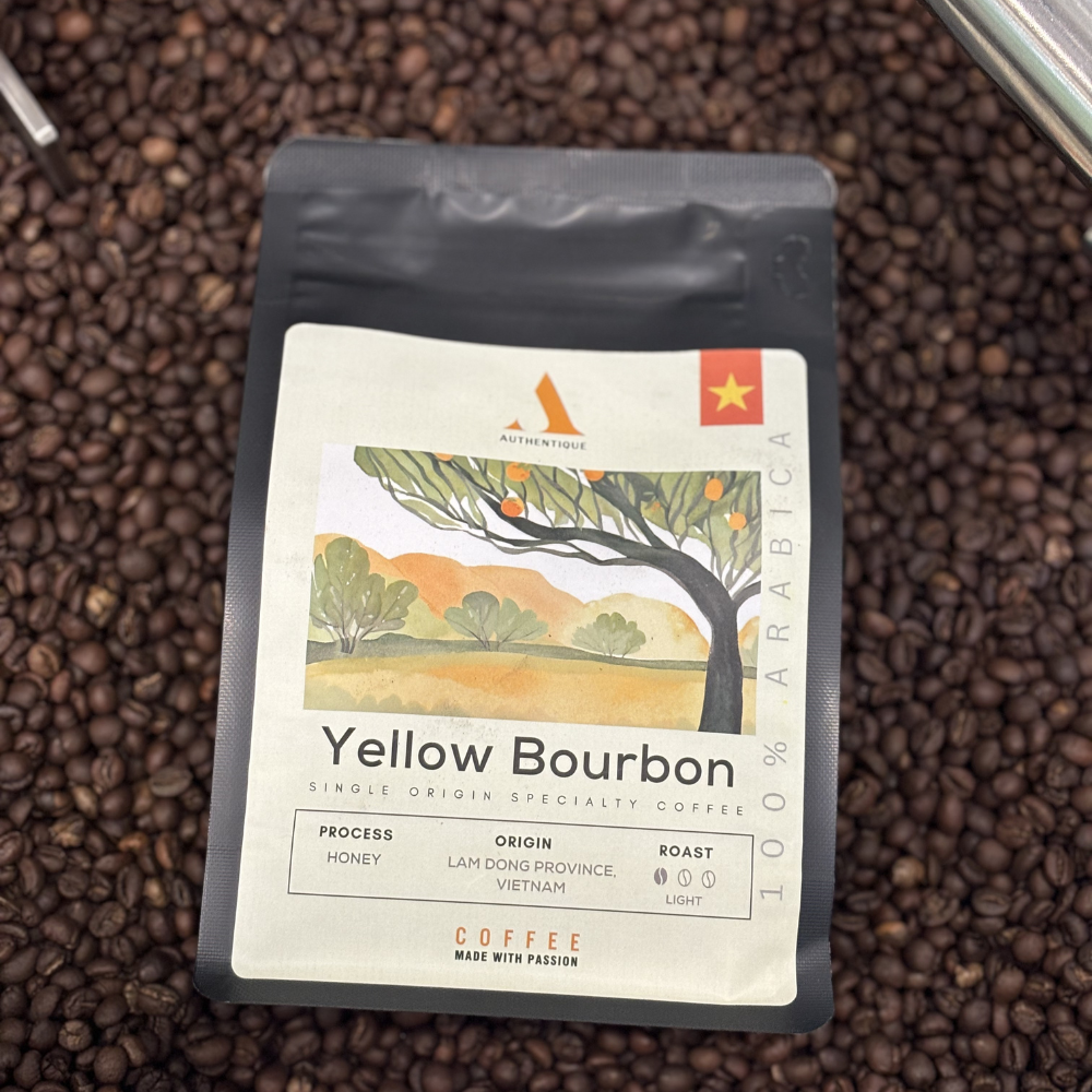Authentique Specilaity Yellow Bourbon Arabica 100% (Light Roast) (Vietnam Coffee Beans) 250g