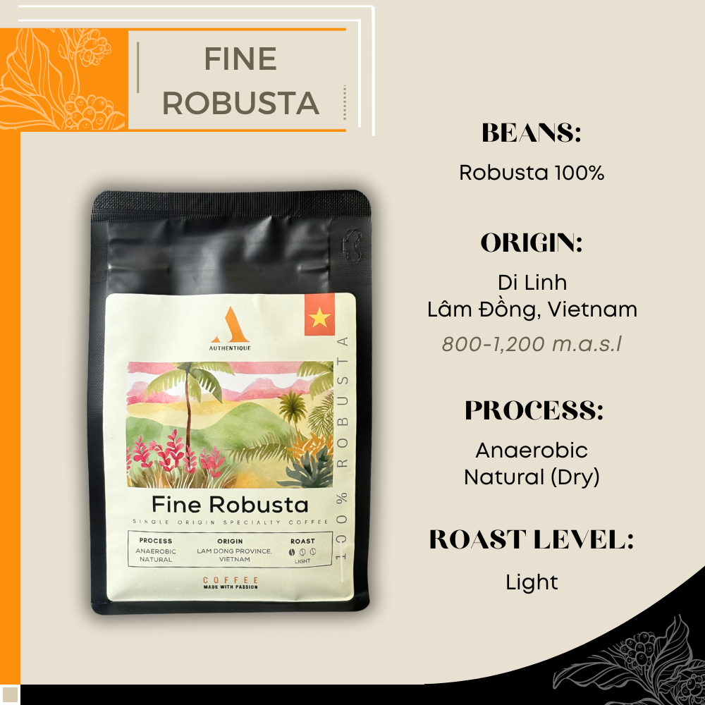 Authentique Specilaity Fine Robusta 100% (Light Roast) (Vietnam Coffee Beans) 250g