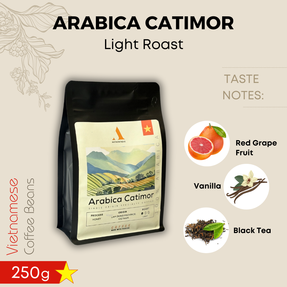 Authentique Speciality Arabica Catimor (Light Roast) (Vietnam Origin) Coffee Beans 250g