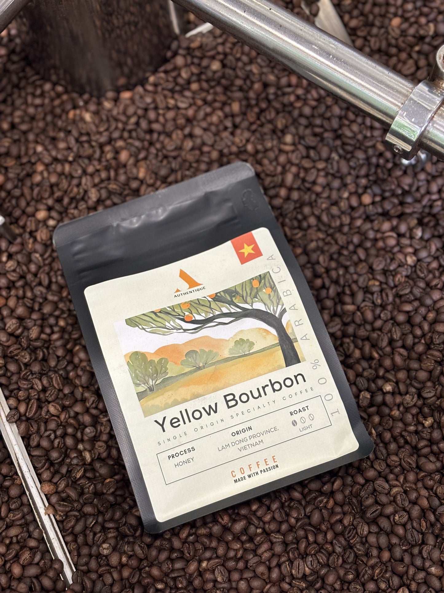 Authentique Specilaity Yellow Bourbon Arabica 100% (Light Roast) (Vietnam Coffee Beans) 250g