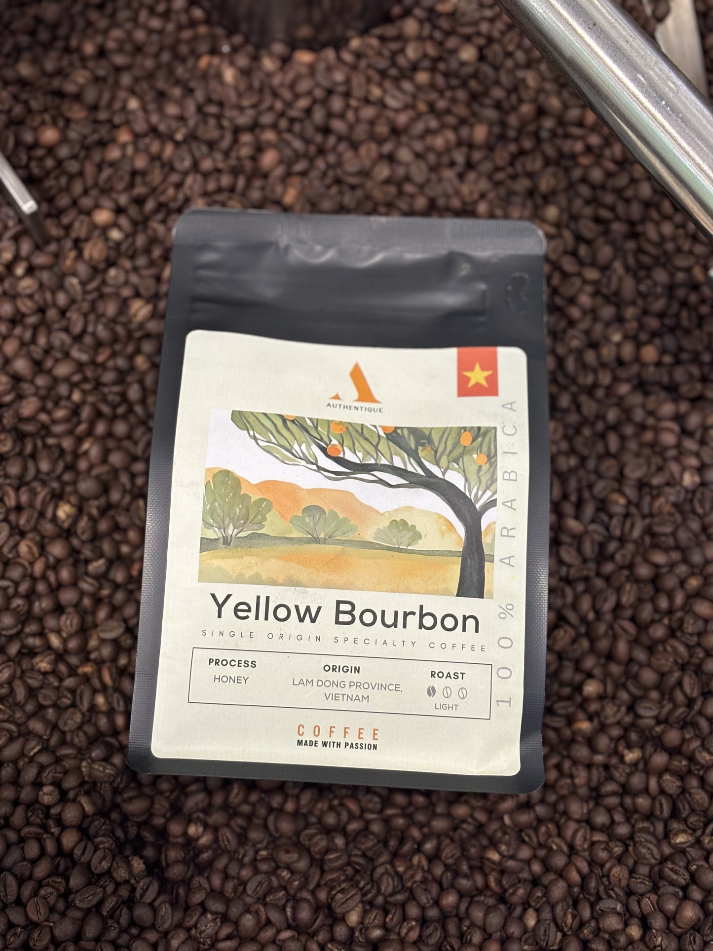 Authentique Specilaity Yellow Bourbon Arabica 100% (Light Roast) (Vietnam Coffee Beans) 250g