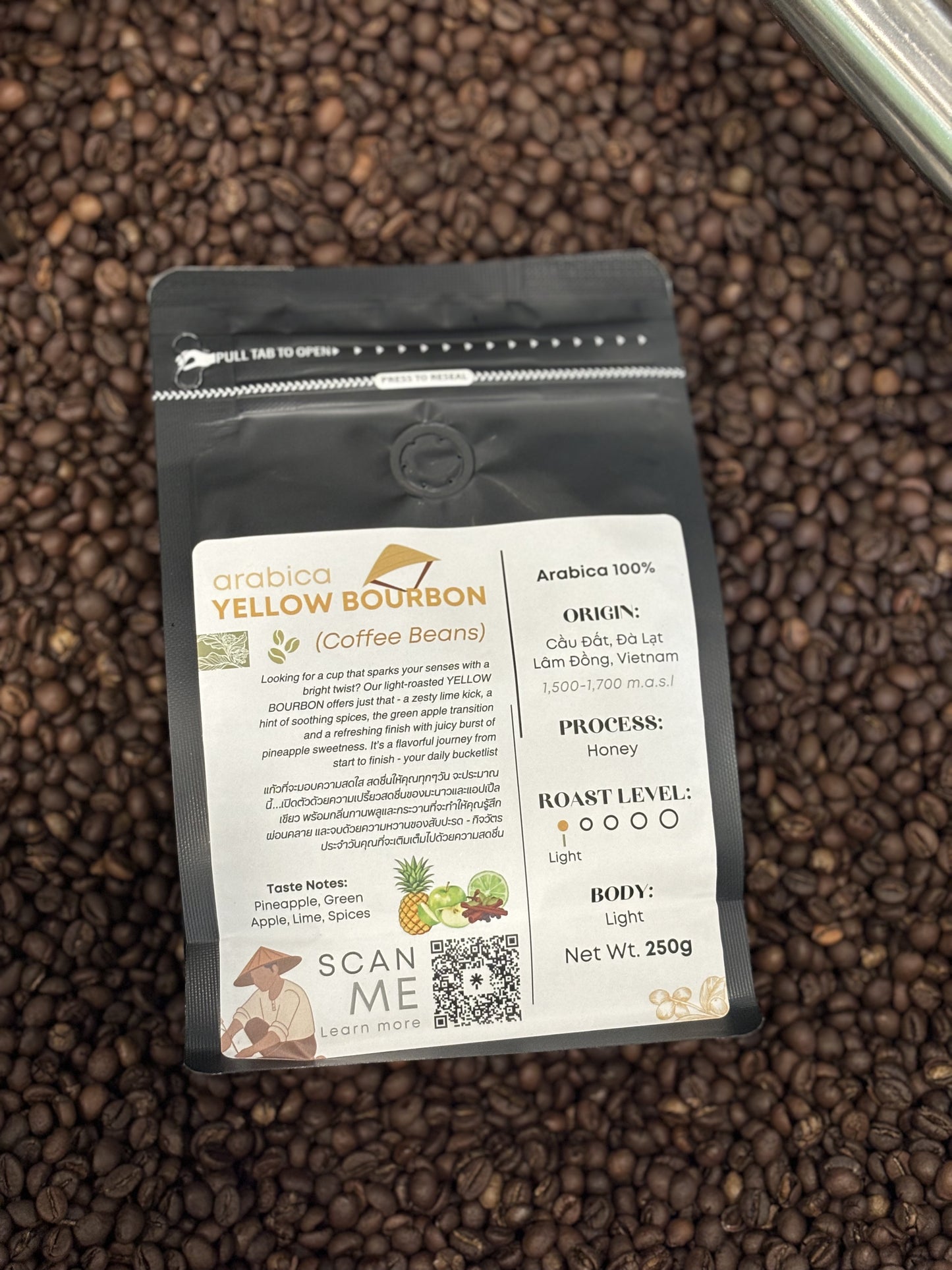 Authentique Specilaity Yellow Bourbon Arabica 100% (Light Roast) (Vietnam Coffee Beans) 250g