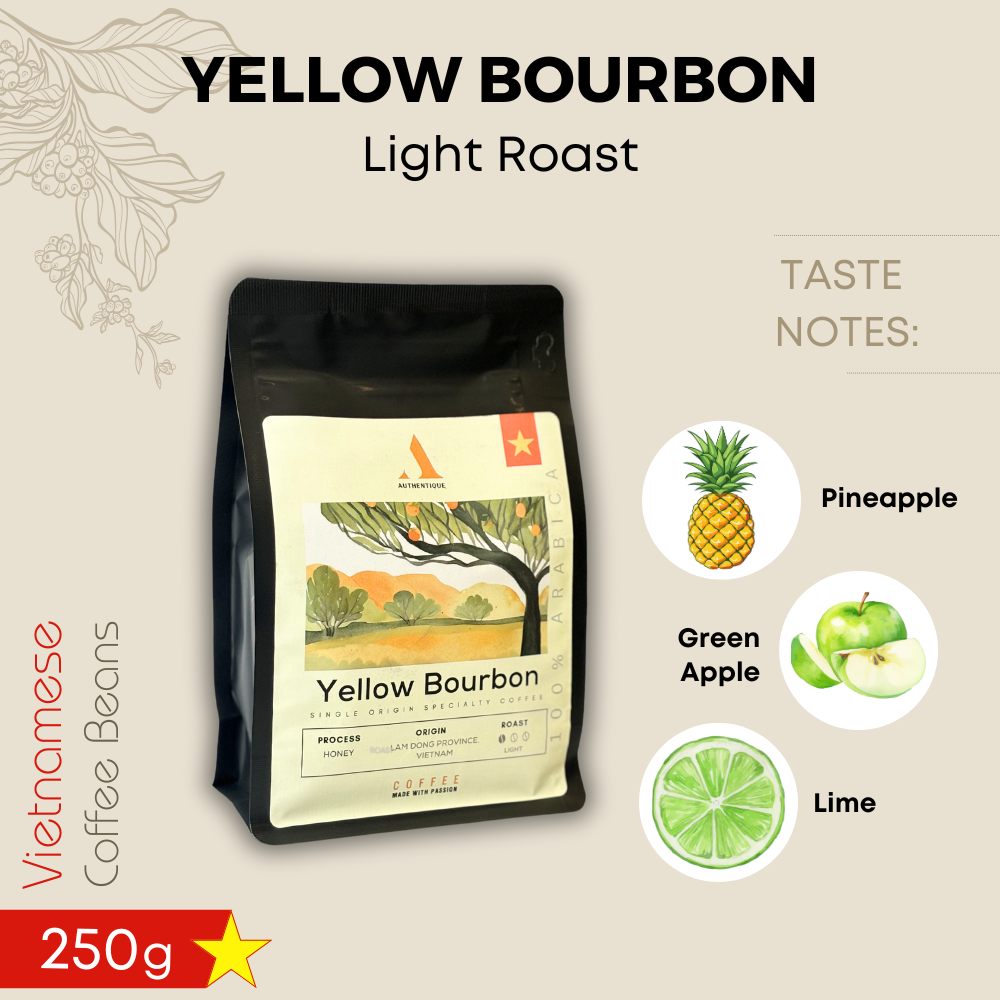 Authentique Specilaity Yellow Bourbon Arabica 100% (Light Roast) (Vietnam Coffee Beans) 250g