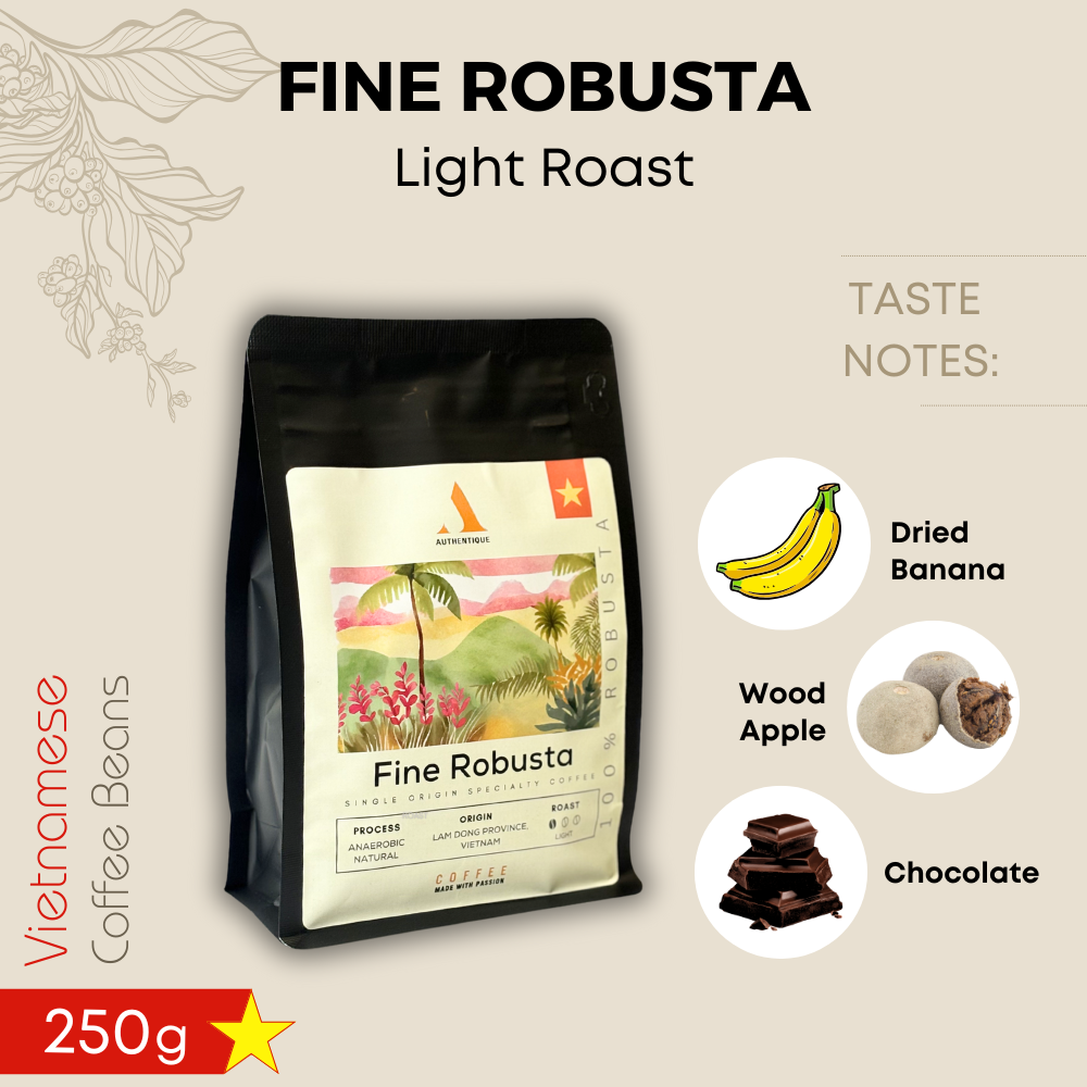 Authentique Specilaity Fine Robusta 100% (Light Roast) (Vietnam Coffee Beans) 250g
