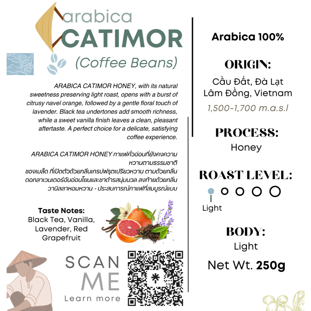 Authentique Speciality Arabica Catimor (Light Roast) (Vietnam Origin) Coffee Beans 250g