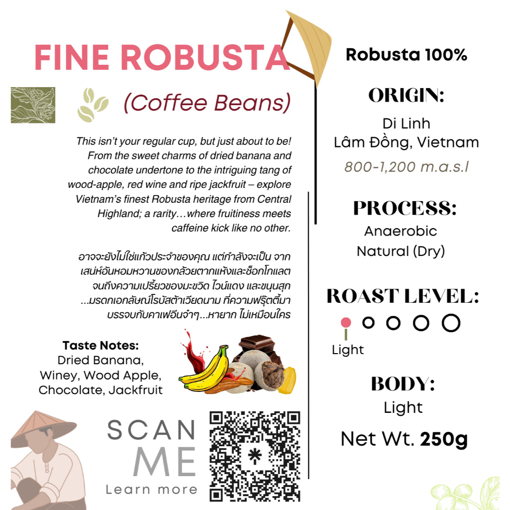 Authentique Specilaity Fine Robusta 100% (Light Roast) (Vietnam Coffee Beans) 250g