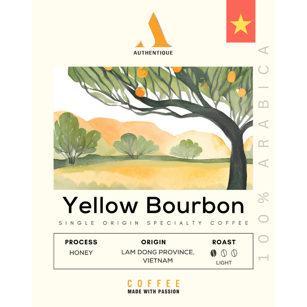 Authentique Specilaity Yellow Bourbon Arabica 100% (Light Roast) (Vietnam Coffee Beans) 250g