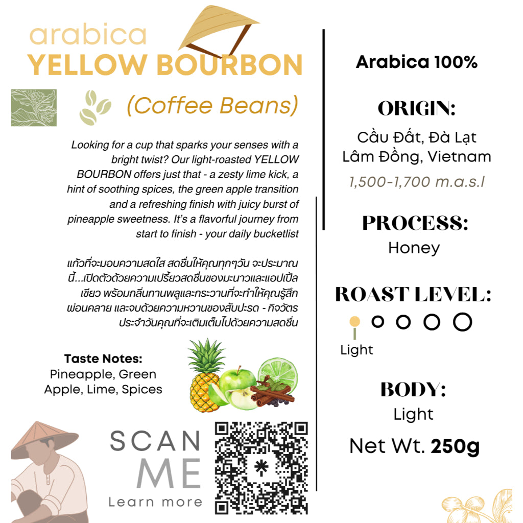 Authentique Specilaity Yellow Bourbon Arabica 100% (Light Roast) (Vietnam Coffee Beans) 250g