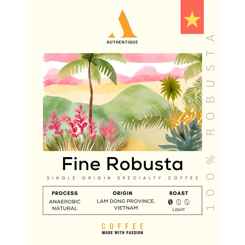 Authentique Specilaity Fine Robusta 100% (Light Roast) (Vietnam Coffee Beans) 250g